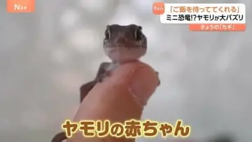 GSBIZニュース