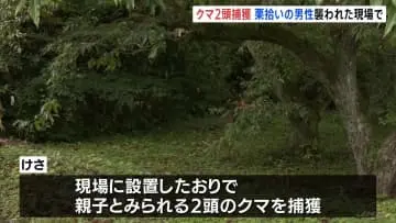 GSBIZニュース