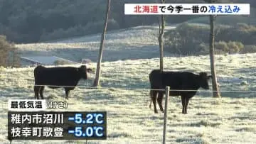 GSBIZニュース