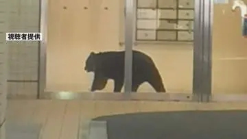 GSBIZニュース