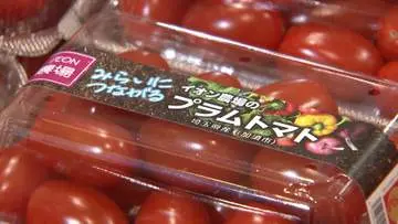 GSBIZニュース