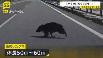 GSBIZニュース