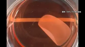 GSBIZニュース