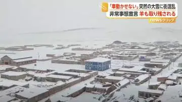 GSBIZニュース