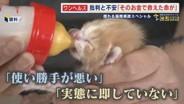 GSBIZニュース