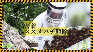 GSBIZニュース