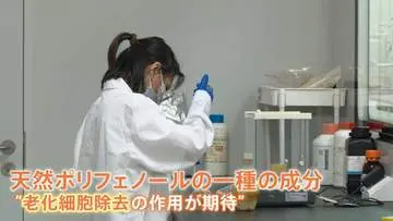 GSBIZニュース