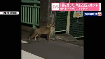 GSBIZニュース