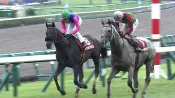GS BIZニュース