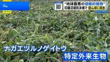 GSBIZニュース