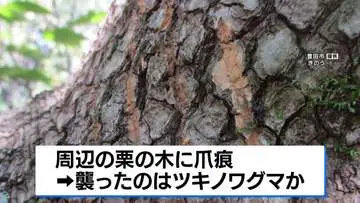 GSBIZニュース