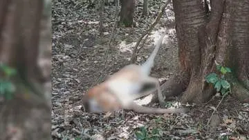 GSBIZニュース